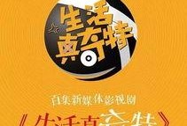 娱乐吃瓜酱万事俱备,万事俱备，揭秘娱乐圈幕后风云