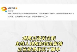 娱乐718吃瓜网址,吃瓜网站背后的热点追踪与娱乐资讯