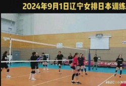 辽宁女排爆料了吗最新消息,揭秘爆料背后的真相与进展
