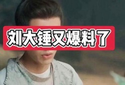 刘大锤爆料过谁了视频,揭秘娱乐圈惊人内幕