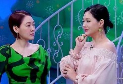 娱乐圈爆料小s,揭秘明星背后的故事